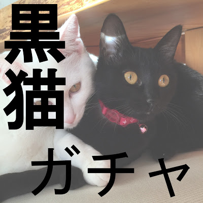 【黒猫ガチャ】ゴールデン2017 クリスタル100個でアリエッタかビィクトリア狙い!