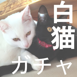 【白猫ガチャ】フェアリーテイルコラボガチャ ナツが出るまで!